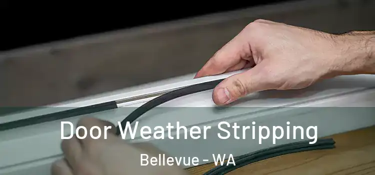 Door Weather Stripping Bellevue - WA