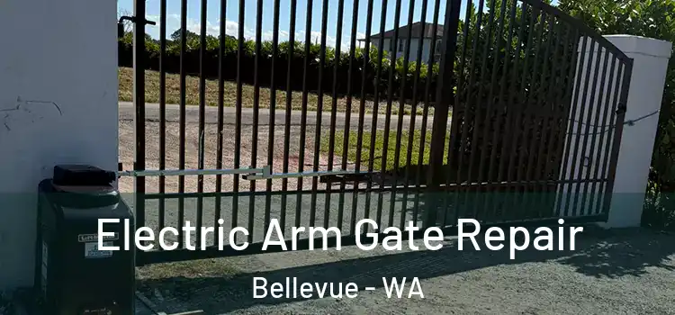 Electric Arm Gate Repair Bellevue - WA