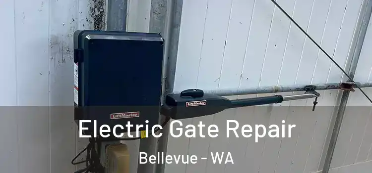 Electric Gate Repair Bellevue - WA