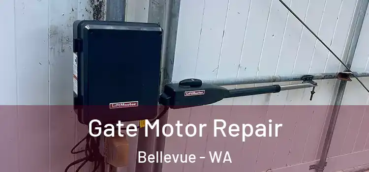 Gate Motor Repair Bellevue - WA