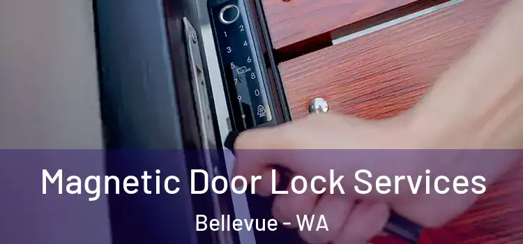 Magnetic Door Lock Services Bellevue - WA