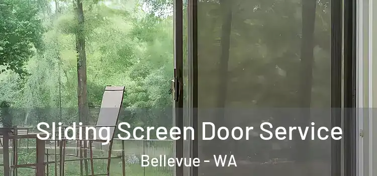 Sliding Screen Door Service Bellevue - WA